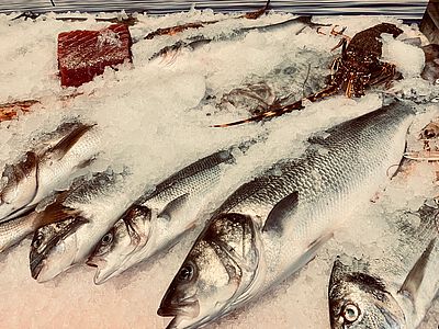 Fangfrischer Fisch